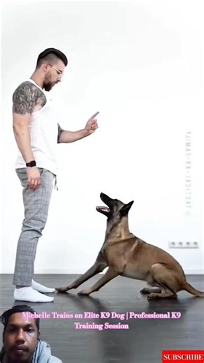 Michelle Trains an Elite K9 Dog | Professional K9 Training Session #malinois #dogtraining #dog