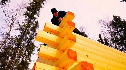 Project alaskan log cabin the walls. | Wright