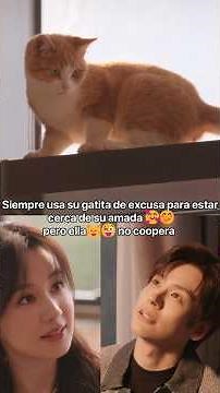Usa su gatita de excusa🤭 #Eresmidestinodeamor #YouAreMyFatefulLove #MilesWei #ZhengHehuizi