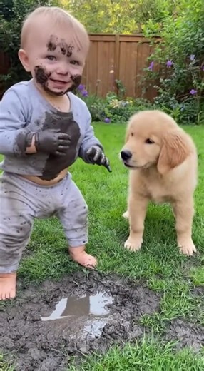 2.9M views · 10K reactions | Baby Playing with Dog #baby #dog #kid #cute #playtime | Cryptic News | Facebook
