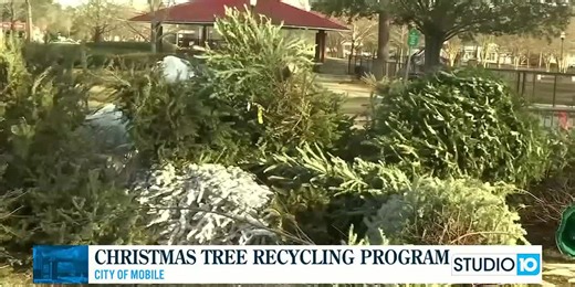 Recycle your Christmas tree in the City of Mobile