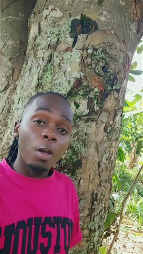 WISE MAZINA DYNASTY (@wise.mazina.ugand)’s videos with original sound - WISE MAZINA DYNASTY