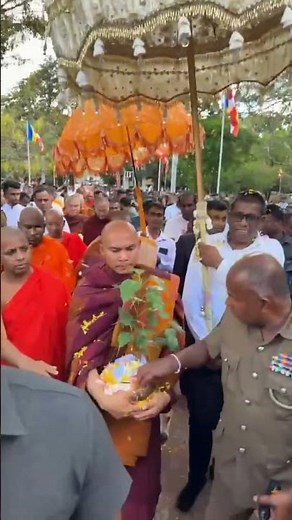 Buddhist Monks Walk for Peace 🇺🇸 | Global Blessings from Sri Lanka 🙏 #shorts