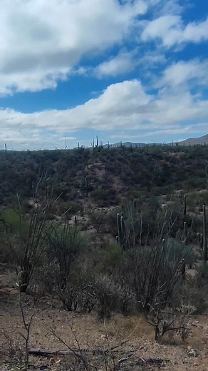 Conociendo la brecha que nos lleva a San Juan, Sonora, así nomás!! #rodandoporsonora #pueblosdesonora #tubutamasonora #seguidores | Rodando por Sonora