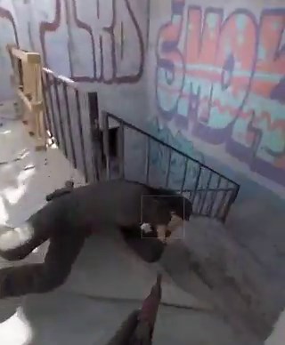 When video game graphics become too real 😳