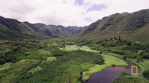 By looking at the relationship early human settlers in Hawaii had with the natural resources, we can gain insight about how modern humans should interact with marine and terrestrial ecosystems in a sustainable way. #SeaOfHope | National Geographic TV
