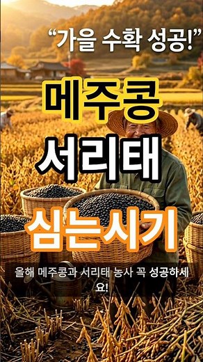 "이때" 놓치면 1년 콩 농사 다 망칩니다! 서리태 & 메주콩 심는 시기 완벽 정리 ​#콩심는시기 #서리태파종 #메주콩파종 #콩농사 #텃밭가꾸기 #6월작물 #서리태 #메주콩