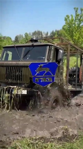 ГАЗ 66«Шишига» #машина #бездорожье #авто #лес #газ #природа