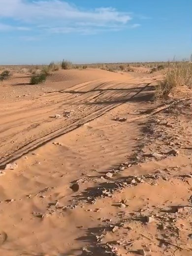 Td5 Inside / Performance Inside on Reels