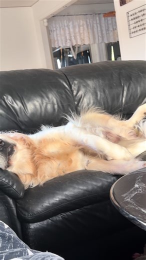 midsommar (@midsommar062)s videor med No work. No school. No bills - Cheese & bagel