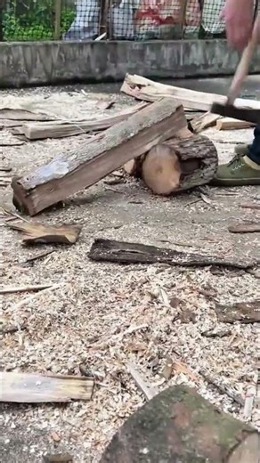 splitting large wood logs into smaller pieces using a sharp axe on the ground