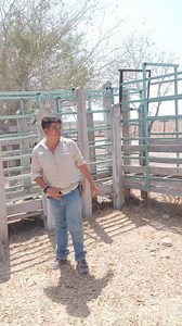 158K views · 1.4K reactions | Cargando unos animalitos con la rrraaza al puro  Nono Ranch | NONO RANCH Adventure | Facebook