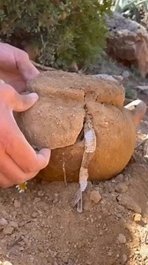 262K views · 2.7K reactions | #antiques By Crown Gems & jewellery...