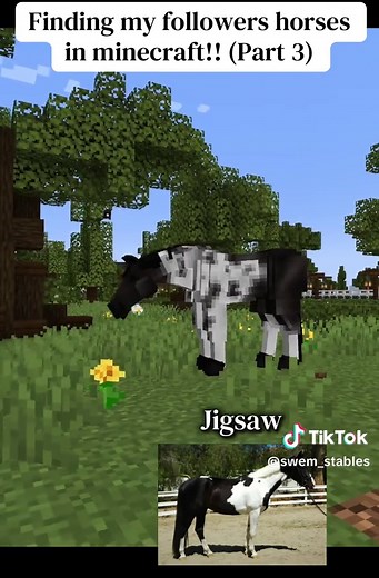 Part 3 of finding my followers horses in minecraft!! Some of these beautiful models are made by @Tish