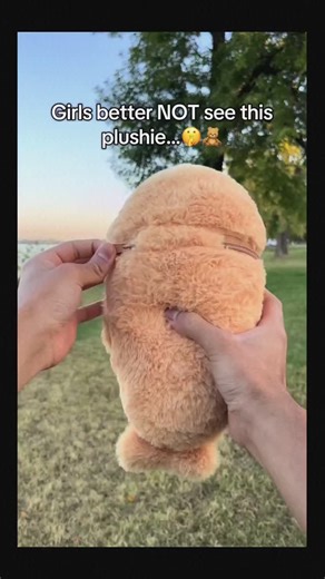 Carrot Mixie on Instagram: "Rate ts pluse for your girl 1/10?😍 #plush #cute #giftideas"