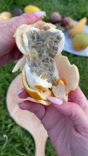 🍊✨ Granadilla – die süße, tropische Passionsfrucht voller Lebensfreude 🌴💛 #granadilla