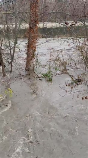 Projecte 4 Estacions on Instagram: "El riu Ges, afluent del Ter, viu una crescuda important a hores d’ara després d’hores de molta pluja. Arriba als 82 m³/s a l’altura de Torelló, superant el llindar d’alerta i multiplicant per 31 el cabal que duia a la mitjanit. 📸 Pau Casals #Projecte4Estacions"