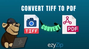 How To Convert TIFF to PDF (4 Methods)