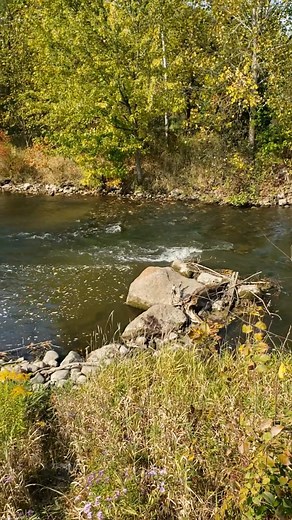 Michigan Girl on Reels