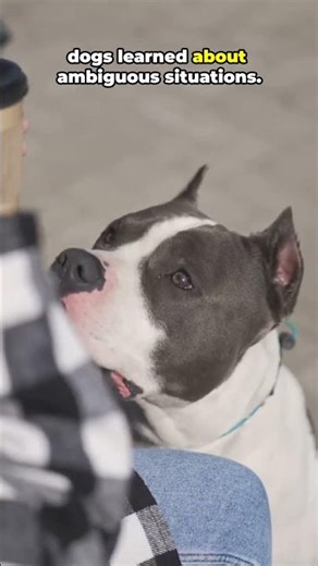 The Animal That Can Smell Your Stress
