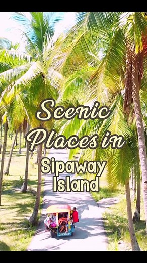 ‼️Picture Worthy Spots in Sipaway Island ‼️: Blue Waves Resort (₱20 Entrance) , Pangpang (₱20 Entrance) & Coconut Tree Plantation ( No Entrance) | Maueee’s Happy Feet