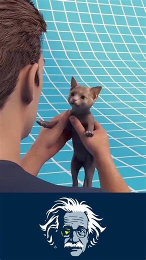 Albert Einstein once said: “Time is just an illusion…” ⏳ But what does that really mean? In this short, you’ll discover how our reality might not be what it seems. CREDIT -‪@zackdfilms‬ 🔔 Subscribe for more insane science facts & physics Shorts! ❤️ Like | 💬 Comment | 📲 Share with your friends! #MindVibe #EinsteinExplained #TimeIsFake #ScienceShorts #YTShorts #PhysicsFacts #AlbertEinstein #physics #facts | Einstein Shorts