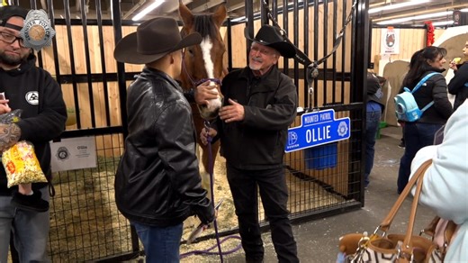 A WILD RIDE AT THE STOCK SHOW If you’re still itching to watch more bronco-themed action, you’re in luck! Your Denver Police Mounted Patrol Unit has been busy at the 120th National Western Stock Show, and the excitement hasn’t stopped. Thanks to endless shared smiles and opportunities to connect with the community, everyone’s a winner! WATCH NOW! | Denver Police Department