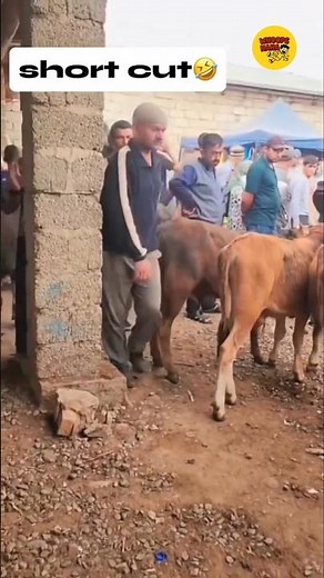 the funny the funniest videos in the world 🤣 #funny #funnyfails