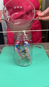 Easy spring craft | Elaine Carol’s Kitchen