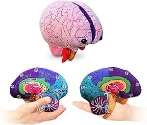 GIANTmicrobes Brain Model, Human Brain Anatomy Model, Brain Model for Kids, Brain Model for Neuroscience, Brain Model for Teaching, Brain Model for Psychology, 3D Brain Model, Brain Anatomy Toy