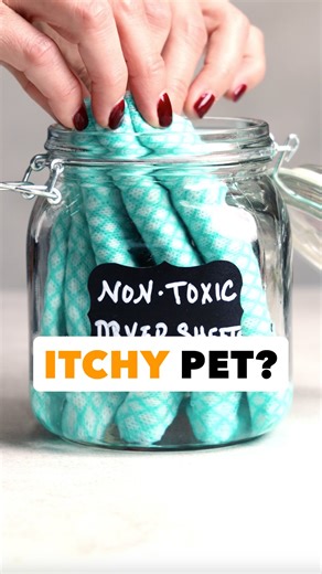 Fabric softener🧺 is one of the top causes of indoor air pollution. The good news is your dog or cat can have clean, soft bedding without the risk of coughing, itchy rashes & other issues with these reusable non-toxic dryer sheets🌱. | The Forever Dog