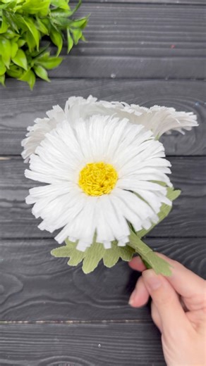 Easy Paper Daisy Flowers 💥 #fyp #fypシ #foryou | Origami Studio