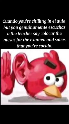 We are cocidos🥀 #fyp #spanglish | spanish