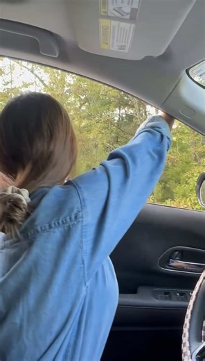 Deer Reincarnation: A Unique Perspective