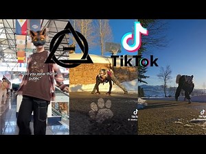 Therian and Quadrobics TikToks || Compilation 🐾🪱🪲|| Alterhumans of TikTok #77