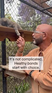 715K views · 5.1K reactions | Consent isn’t just for people. It’s part of every great human–cat relationship. Petting your cat should be a conversation, not a command. If they lean in, purr, or close their eyes, keep going. If they tense, turn, or swish their tail, it’s time to pause. Let them decide when they want affection, play, or space. Consent isn’t just kind — it’s the key to real connection. #catbehavior #consent #catlovers #catbehaviour | Jackson Galaxy | Facebook