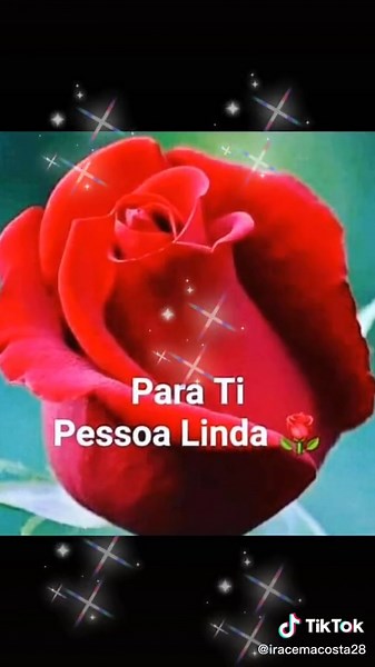 Stylized Letters and Numbers Animation with Colorful Effects