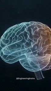 Scientists analyzing large-scale brain scans discovered that the COVID-19 pandemic itself—through stress, isolation, and disruption—accelerated brain aging by an average of 5.5 months, even in people who were never infected. Structural changes were observed in regions linked to memory, emotion, and cognition, showing that prolonged societal stress can physically alter the brain. This research highlights how environmental and psychological factors alone can impact neurological health, reshaping h