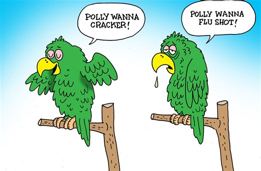 Local View: USDA's strategy to curb avian influenza is for the birds