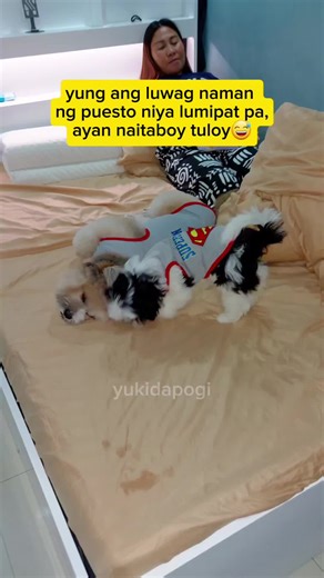 pasimpleng tulak wth care 😅 #fyp #dog #pet #doglovers #petlovers