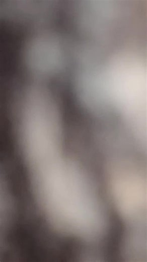 nolan gaming on TikTok