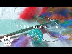 DIY Jouet chat : Canne à pêche pour chat | Assur O'Poil