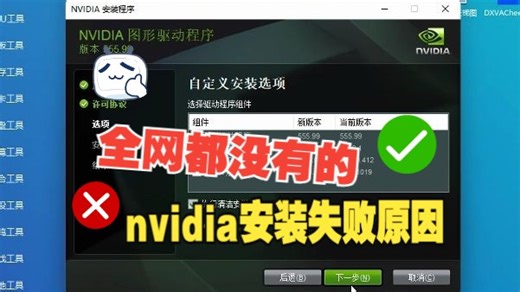 2024.6月最新-nvidia安装失败原因