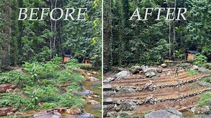 10 Day Complete Garden Renovation/Restoration Process After 1 Year