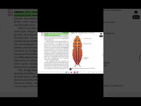 Cockroach NCERT Line by Line 📖 | Complete Revision in One Shot | NEET Biology