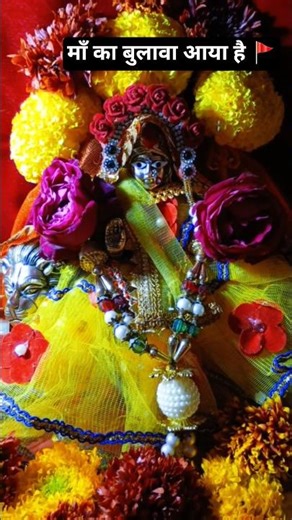 🚩माँ का बुलावा आया है🚩|#navratri#matarani#jaimatadi#shortsfeed#shorts#shortvideo#navratrispecial#new