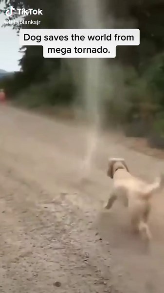 Hero's come in all shapes and sizes!