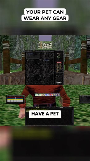 Your Pet Can Wear Any Gear #gaming #retrogaming #everquestlegends