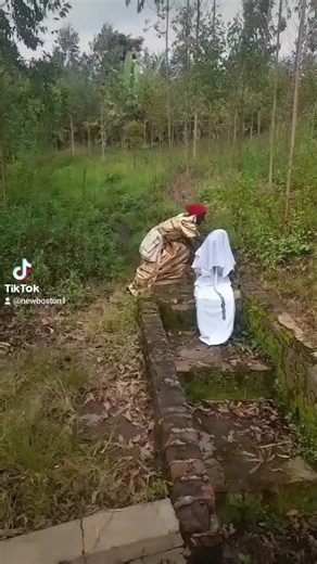 newboston1 (@newboston1)’s videos with original sound - Jibrush official 👑