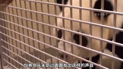 Con của con mà, trả con cho con đi | Cute một tý